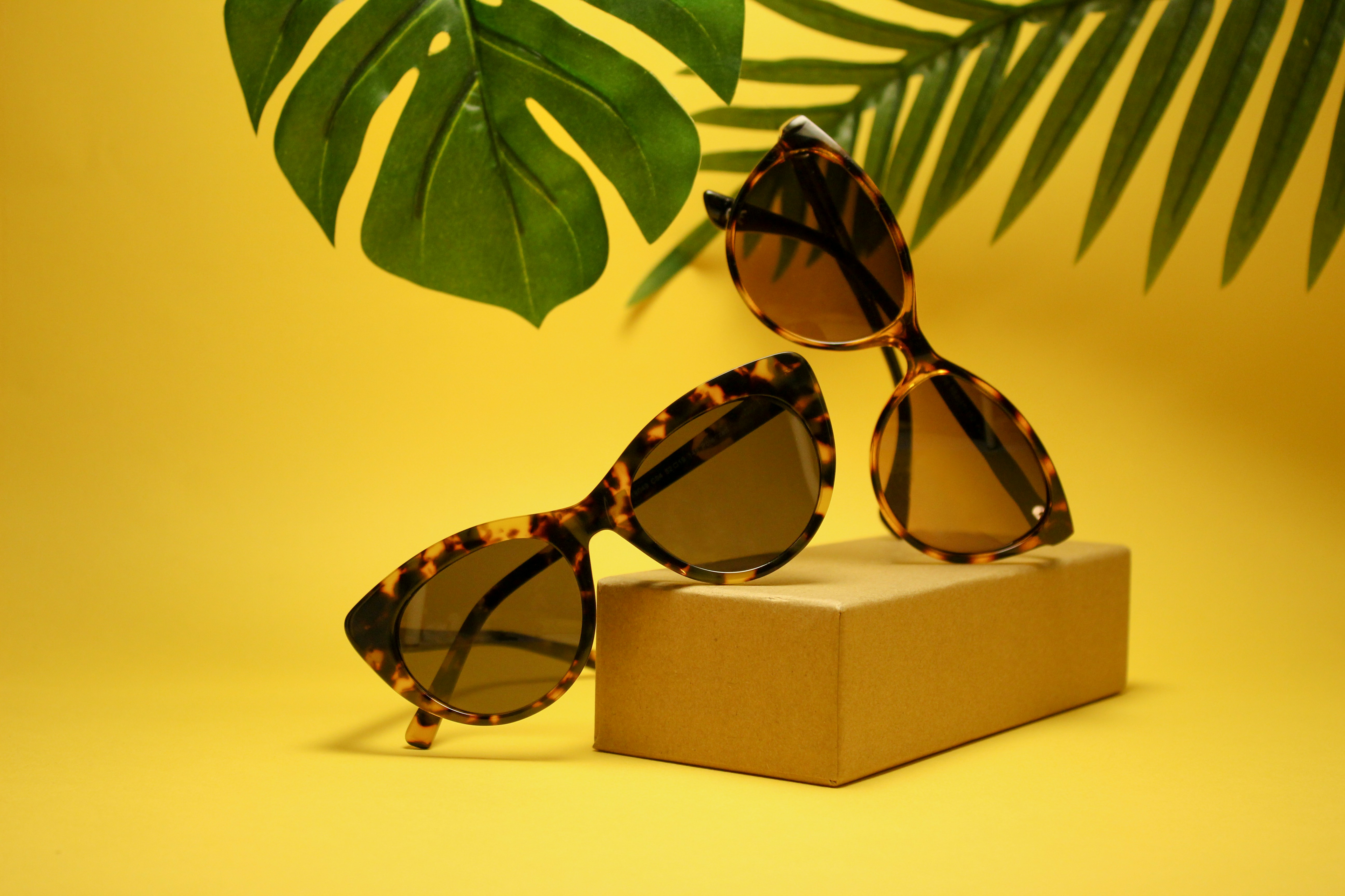 Lunettes de soleil
